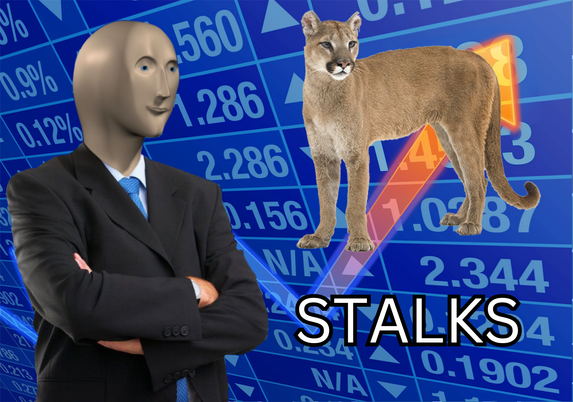 The "Stonks" meme image - a poorly 3d rendered man in a suit standing in front of a barrage of stock tickers with an upwards trending arrow. A couger (the cat, you pervs) has been superimposed over the trend arrow, and the caption has been changed to "STALKS"