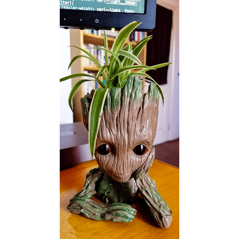 Baby Groot from Guardians of the Galaxy franchise as a plastic head and shoulders with a real plant inside his head sits on a wooden desk.