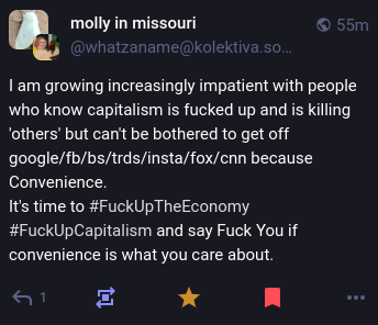 Screenshot of a Mastodon post from user Molly In Missouri that reads:
"I am growing increasingly impatient with people who know capitalism is fucked up and is killing 'others' but can't be bothered to get off google/fb/bs/trds/insta/fox/cnn because Convenience. 
It's time to #FuckUpTheEconomy
#FuckUpCapitalism and say Fuck You if convenience is what you care about."