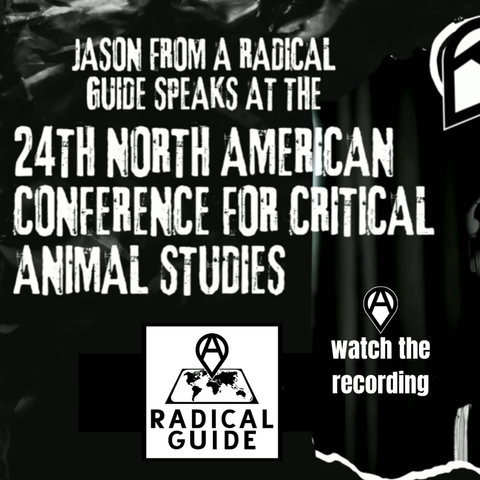 watch the recording