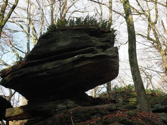 A massive rock with an eroded base in the forest.