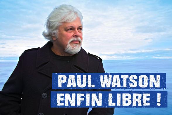 Paul Watson enfin libre ! (17 décembre 2024)