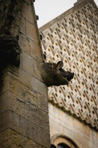 Close-up of a gargoyle in the form of a pig's head on the side of a church.