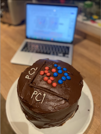 A chocolate cake with a replicate plot made of red and blue smarties on top