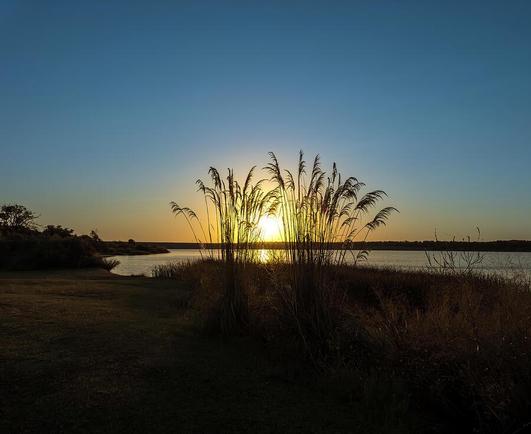 Tall grasses are silhouetted against a vibrant sunrise over a calm lake, casting a warm glow across the sky. The horizon blends seamlessly with the water, creating a serene and tranquil atmosphere. Photography by Debra Martz
