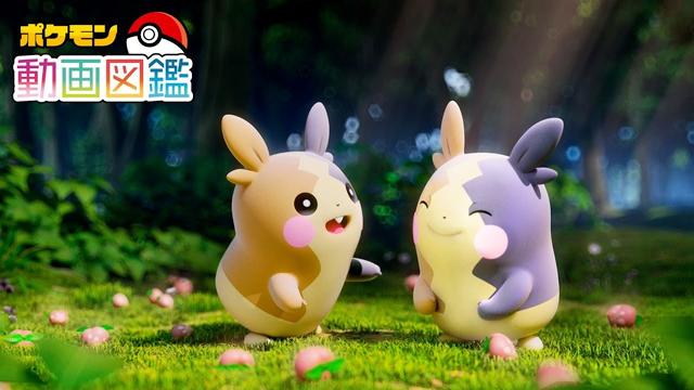 Morpeko busca bayas para saciar su hambre