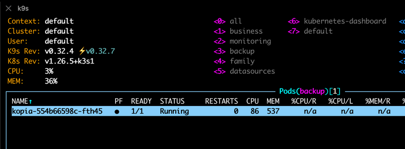 Screenshot of k9s (a kubernetes cli utility) monitoring my Kopia container deployment that's currently performing a backup of my Immich photos and videos.