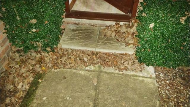 A step leads to the front door of a house. All around are leaves blown there by the wind.