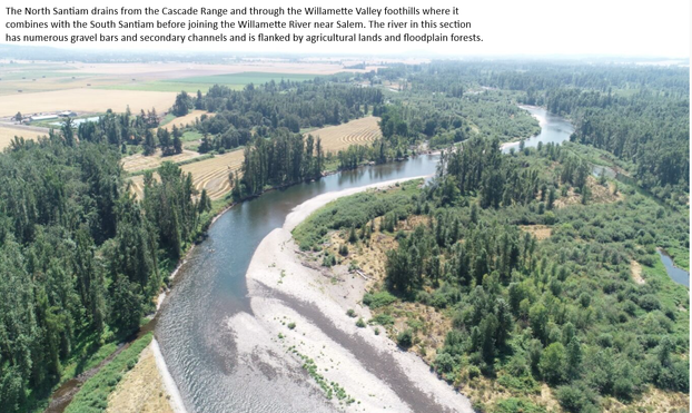 drone photo - oblique - The North Santiam drains from the Cascade Range and through the Willamette Valley foothills where it combines with the South Santiam before joining the Willamette River near Salem. The river in this section has numerous gravel bars and secondary channels and is flanked by agricultural lands and floodplain forests.