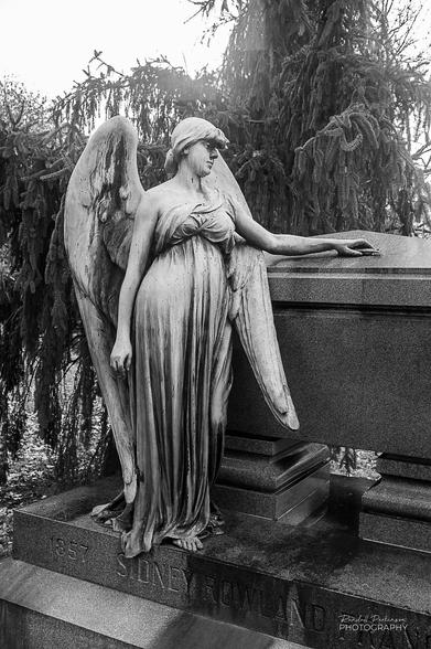 Black and white image of a life-size angel standing as part of a cemetery memorial to Sidney Rowland Francis.