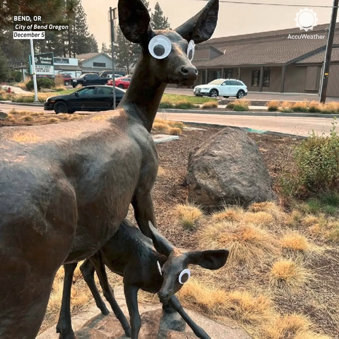 Two deer in a sculpture with giant googly eyes
