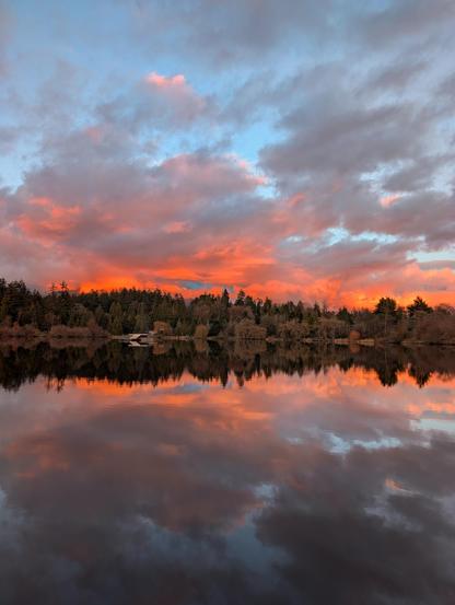 A bright orange sunset in a cloudy sky reflecting on a pond. A forested park on the other side of the pond draws the horizon.
