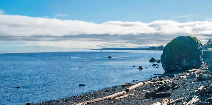 Sea and sky, with clouds along the horizon. On the far left, there's a round rock, 10 metres tall, sitting on a stony shore surrounded by driftwood logs. There's green moss on the top of the rock, graffiti lower down, half hidden in the shadow.