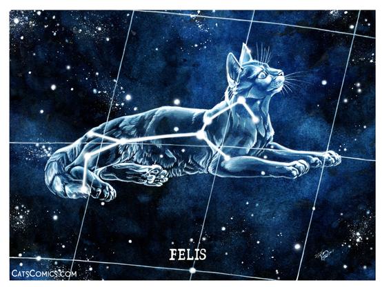 Constellation of felis done in gouache and watercolour