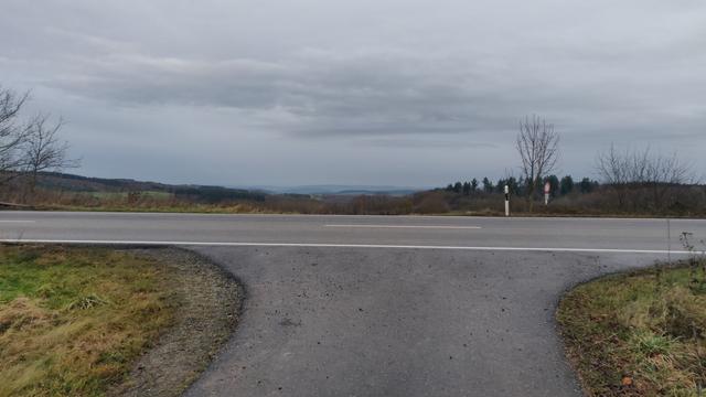 Blick über eine Kuppe mit qierender Straße zum Tal der Mosel