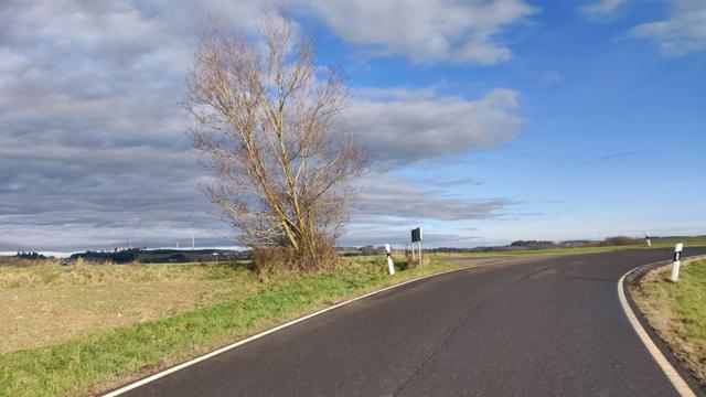 Straße, grünes Gras links und rechts, ein kahler Busch Bei leicht bewölktem Himmel. Kräftige Farben "wegen" Sonnenschein