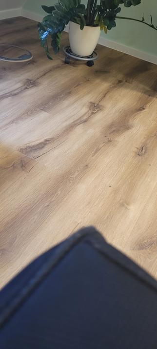 Das Bild zeigt einen hellen, leicht gemaserten Holzboden in warmen Brauntönen. Im oberen Drittel des Bildes steht in der Ecke ein Topf mit einer großen, grünen Zimmerpflanze auf einem Rollständer. Ein Teil eines dunklen, möglicherweise textilen Gegenstands ist unten im Bild zu sehen.  Der Gesamteindruck ist der eines hellen, freundlichen Raumes mit moderner Einrichtung.