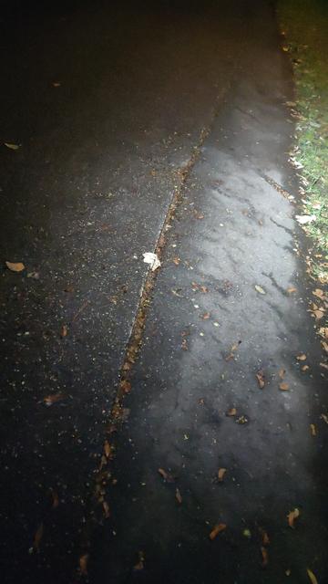 Spurrinne im Asphalt (Flickenansatz) mit genau der richtigen Breite für Fahrradreifen