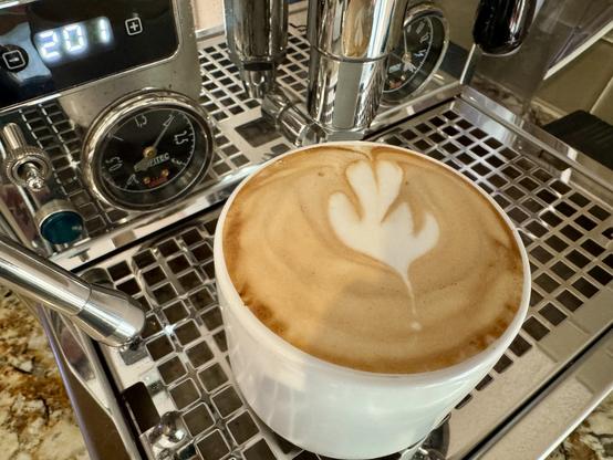 Small white coffee mug filled with a yummy cappuccino sitting on an espresso machine’s metal grate.
