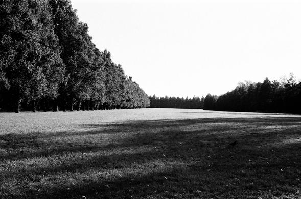 2024/138 - Im Schlosspark von Monrepos. Eingehegte Natur.