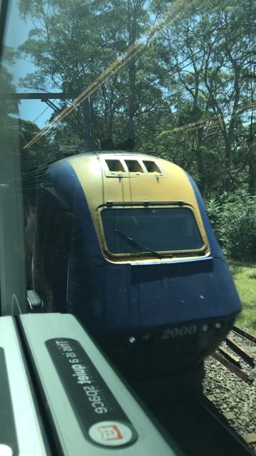 A NSW XPT train outside the window of a Mariyung. XPT is mainly painted blue but the driver’s window is surrounded by yellow with that strip continuing up the front of the driver’s window and over the aerodynamic curve onto the roof of the train. You an see the quiet space sticker of the Mariyung on the windowsill and quite a few trees in the background behind the XPT.