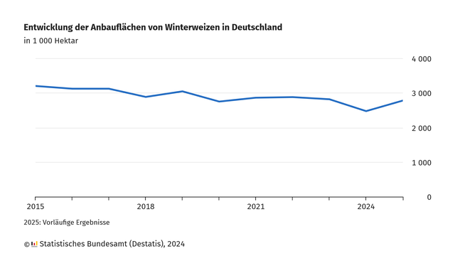 Die Grafik zeigt die Entwicklung der Anbauflächen von Winterweizen in Deutschland von 2015 bis 2025, gemessen in 1.000 Hektar. 

Der Verlauf der Linie zeigt leichte Schwankungen, insgesamt aber einen eher abwärts weisenden Trend. Im Jahr 2015 lag die Anbaufläche bei über 3.000 Tausend Hektar. Bis 2024 sank die Fläche unter 3.000 Tausend Hektar, mit dem tiefsten Punkt im Jahr 2024. Für 2025 (vorläufige Ergebnisse) ist ein Anstieg abgebildet.

Die Daten stammen vom Statistischen Bundesamt (Destatis), 2024.