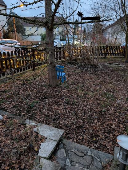 The area which I want to be something else than just struggling lawn. A tree trunk is visible in its center, and a bed with bushes is in the background.