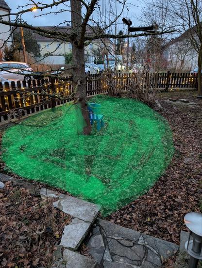 The same photo, but highlighted in green which part I'm talking about. To the right, there's a little path, though it's not visible under the cover of fallen leaves.