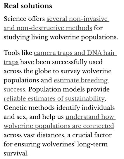 Real solutions
Science offers several non-invasive and non-destructive methods for studying living wolverine populations. Tools like camera traps and DNA hair traps have been successfully used across the globe to survey wolverine populations and estimate breeding success. Population models provide reliable estimates of sustainability. Genetic methods identify individuals and sex, and help us understand how wolverine populations are connected across vast distances, a crucial factor for ensuring wolverines’ long-term survival.