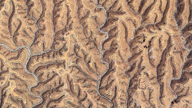 A satellite picture of a desert or arid region. The foreground and background are filled with undulating, the relief makes swirling patterns of light and dark brown earth, creating a mesmerizing texture. There are faint white lines that seem to be dry riverbeds winding through the valleys.