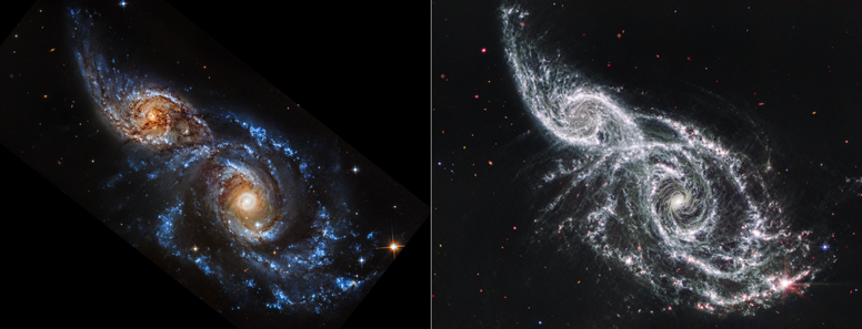 These are two views of the same scene, each showing two overlapping spiral galaxies, IC 2163 at left and NGC 2207 at right. The Hubble Space Telescope’s ultraviolet- and visible-light observation is at left, and the James Webb Space Telescope’s mid-infrared light observation is at right. In Hubble’s image, the star-filled spiral arms glow brightly in blue, and the galaxies’ cores in orange. Both galaxies are covered in dark brown dust lanes, which obscures the view of IC 2163’s core at left. In Webb’s image, cold dust takes center stage, casting the galaxies’ arms in white. Areas where stars are still deeply embedded in the dust appear pink. Other pink regions may be objects that lie well behind these galaxies, including active supermassive black holes known as quasars. Turn your eye toward the bottom right of the Webb image. The largest, brightest pink region that glimmers with eight prominent diffraction spikes is a mini starburst — a location where many stars are forming in quick succession. The same region in the Hubble image appears as a bright blue cluster of stars. The lace-like holes in the white spiral arms of Webb’s images are often where supernovae exploded long ago. In the same regions, Hubble shows these areas are now populated with newer stars. The black areas to upper right and lower left of the Hubble image do not contain any data.