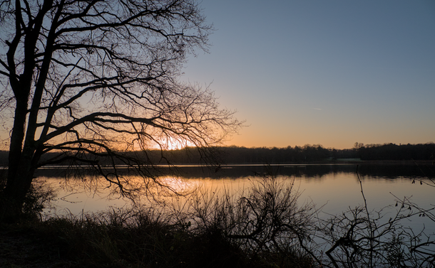 Vue d'un lever de soleil sur un étang en hiver. Un arbre dépourvu de feuilles découpe sa silhouette dans un décor avec des lumières qui varient du bleu au orange.

View of a sunrise over a pond in winter. A leafless tree silhouettes itself against a backdrop of lights varying from blue to orange.