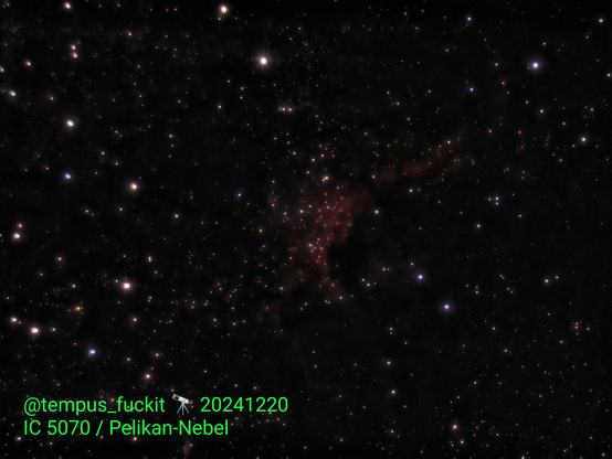 Astrofotografie des Pelikan-Nebels, der auch als IC 5070 bekannt ist. Der auffälligste Teil des Nebels liegt zentral in der Bildmitte. Er sieht aus wie ein roter Schleier, der von hellen Lichtpunkten durchsetzt ist. Nach oben rechts zieht sich ein dünner, ebenfalls roter Schleier bis am den rechten Bildrand. Ebenfalls auf dem Foto zu sehen sind Sterne in unterschiedlichen Größen. Die meisten erscheinen orange und gelblich, während einige andere bläulich oder gar weiß aussehen. Im Bild unten links befindet sich mein Wasserzeichen in giftgrüner Schrift.