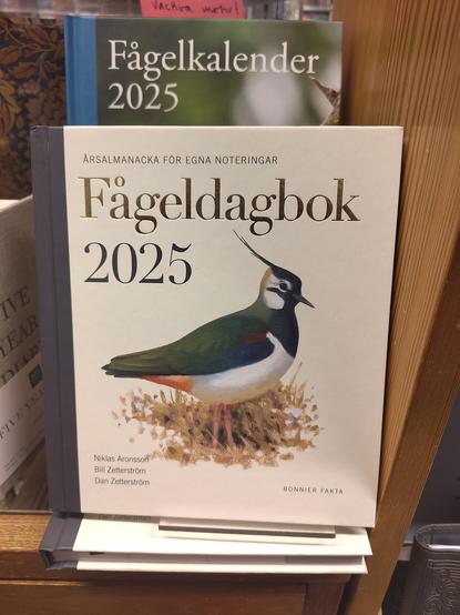 The front of the book/calender "Fågeldagbok 2025". It is an almost square book with a dark blue spine. The big title is silver guilded, the background white and the focus is a painted picture of Northern Lapwing/Green Plover standing in some dried grass.