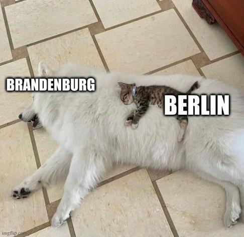 A small cat (BERLIN) lies on a big dog (BRANDENBURG).