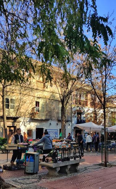 Mercadillo de la plaza Larga en el Albaycín. Se puede ver un puesto de verduras donde una señora atiende a un cliente. Al fondo se ven las terrazas de los bares y gente paseando.