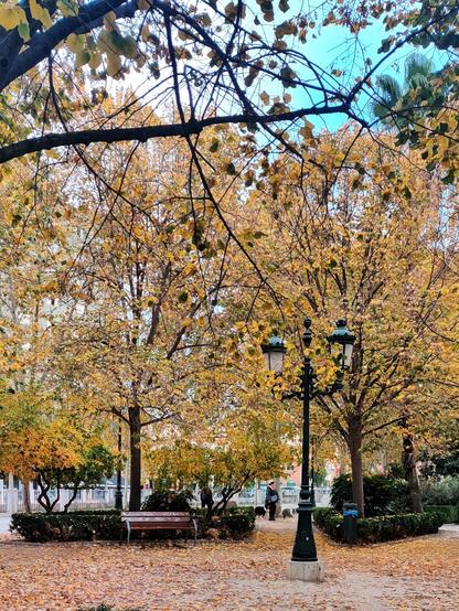 Una farola en el parque junto al palacio de Congresos. Los árboles tienen las hojas amarillas y el suelo está cubierto de hojas.