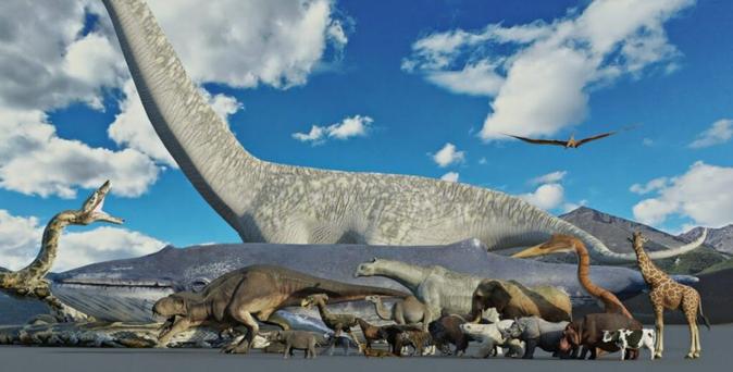 une-comparaison-de-la-taille-des-animaux-existants-et-ayant-existe-video