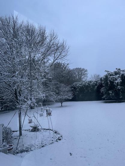 1.25 inches of snow in a New Jersey backyard with trees and snow-covered bird feeders