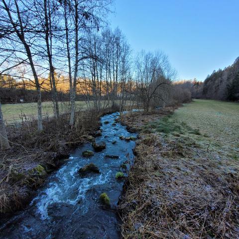 Der Bach mit den Steinen andere Richtung. Rechts Wiese, links eine Baumreihe. Hinten von der Sonne angestrahlt der Wald
