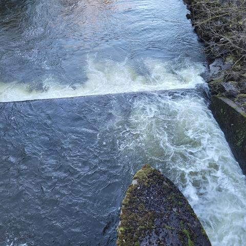 Blick von der Brücke ins Wasser