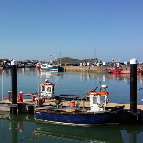 Photo shows fishing boats moored at a pier, with other boats, harbour walls, and blue sky in the background.