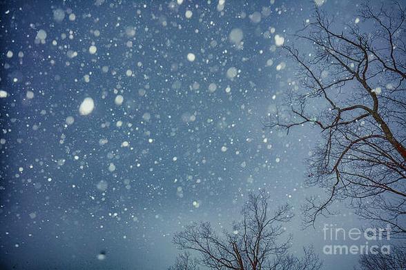 Snow Falling From Heaven is a color photograph taken while looking at the sky and the lovely snow falling to earth. Happy Solstice!