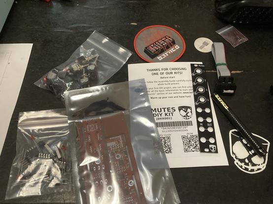 Parts for a Mutes eurorack synth module, spread on a black tabletop