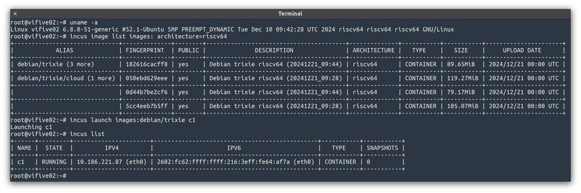 Incus running a riscv64 Debian Trixie image.