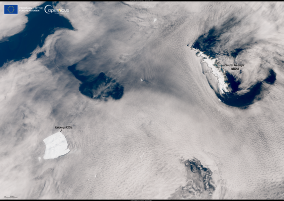 A23a, the world’s largest iceberg is moving northward

Credit: European Union, Copernicus Sentinel-3 imagery