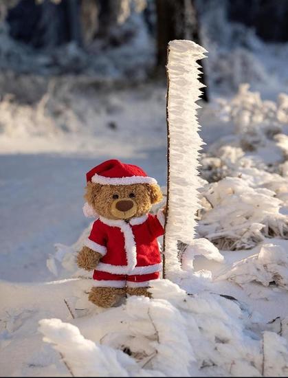 Photography.  A color photo of a beige teddy bear in the snow. He is standing in the snow dressed as Santa Claus with a red hat and coat. Around him is a snow-covered landscape with branches and bushes. A thin, upright branch is so frozen by the wind that the icy snow hangs in jags on one side. With the teddy bear next to it, it looks like a small flag with a flagpole. A very cute Christmas photo.
Info: Christian Kneidinger is an Austrian travel photographer who always takes his teddy bears with him on his travels around the world to photograph them in typical local situations. It started with his 40 cm tall teddy bear named John James in Iceland in 2014 and was followed by 32 countries and several teddy bears.