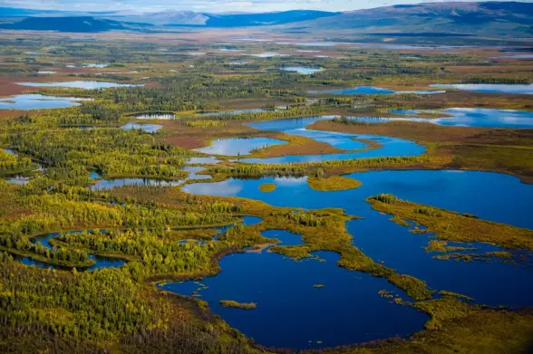aerial photo of a swampy arctic landscape
