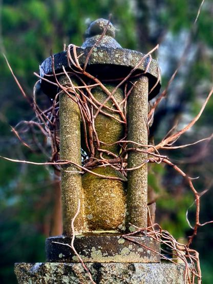 A sculpted hour glass on the top of a grave monument on a Victorian cemetery, with the tendrels of a plant wrapped around it.
