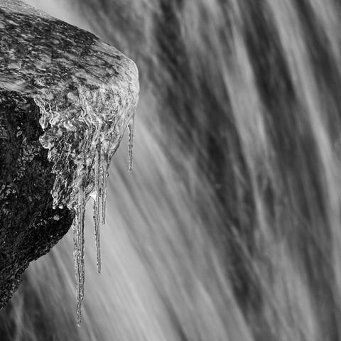 Small icicles in a waterfall. B&W square photo.